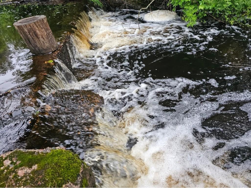 8725W River Road Ojibwa WI 54862 - Chippewa River 1599647 image7