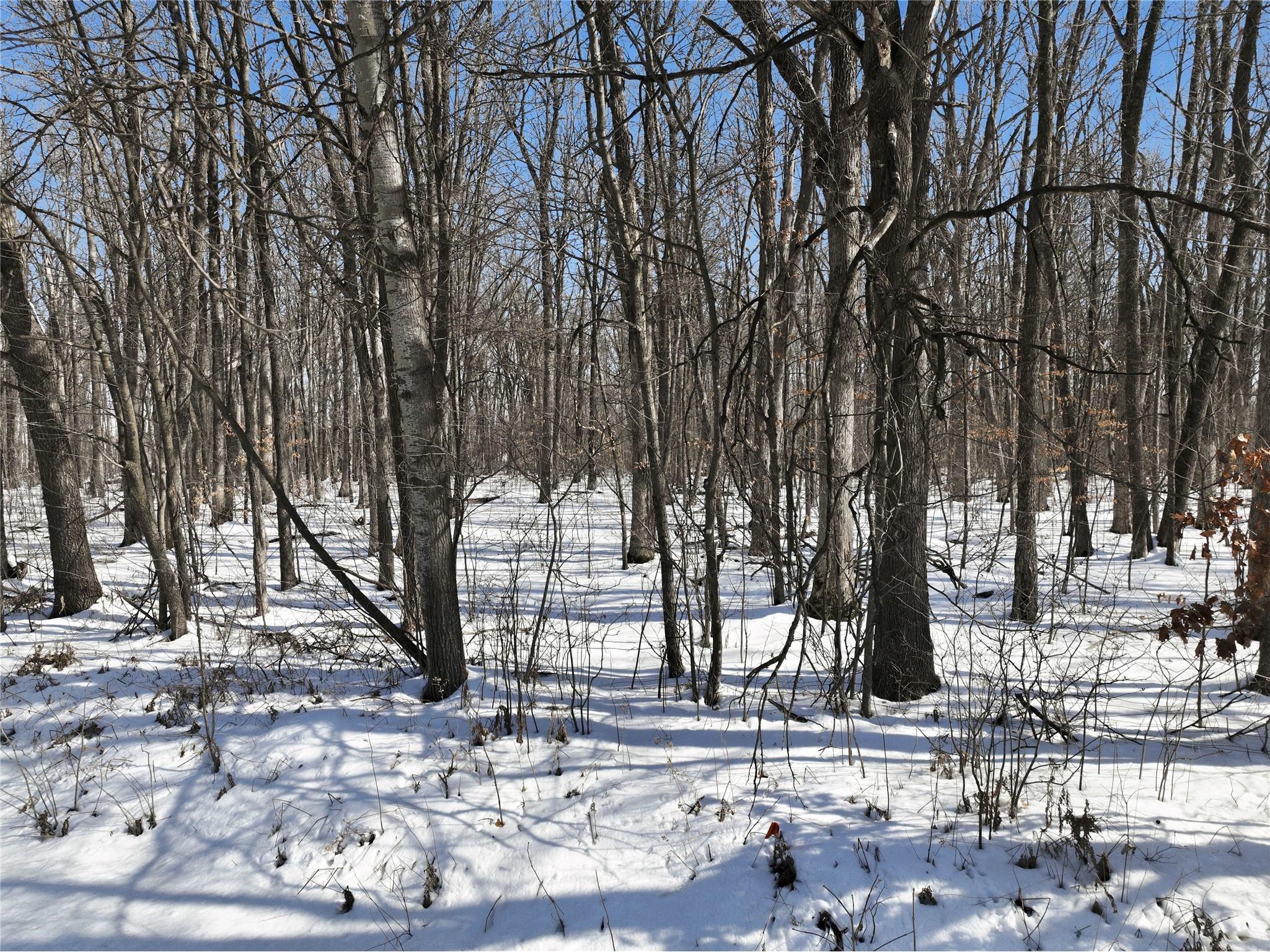 8733 State Highway 64 Bloomer WI 54724 1599213 image9