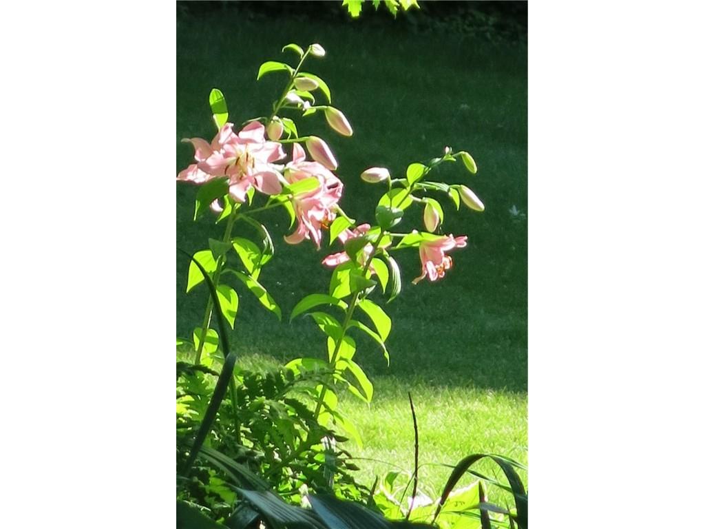 8749 164th Street Chippewa Falls WI 54729 - Lake Wissota 1597928 image36