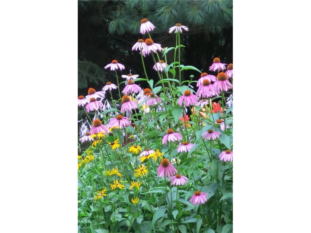 8749 164th Street Chippewa Falls WI 54729 - Lake Wissota 1597928 image39