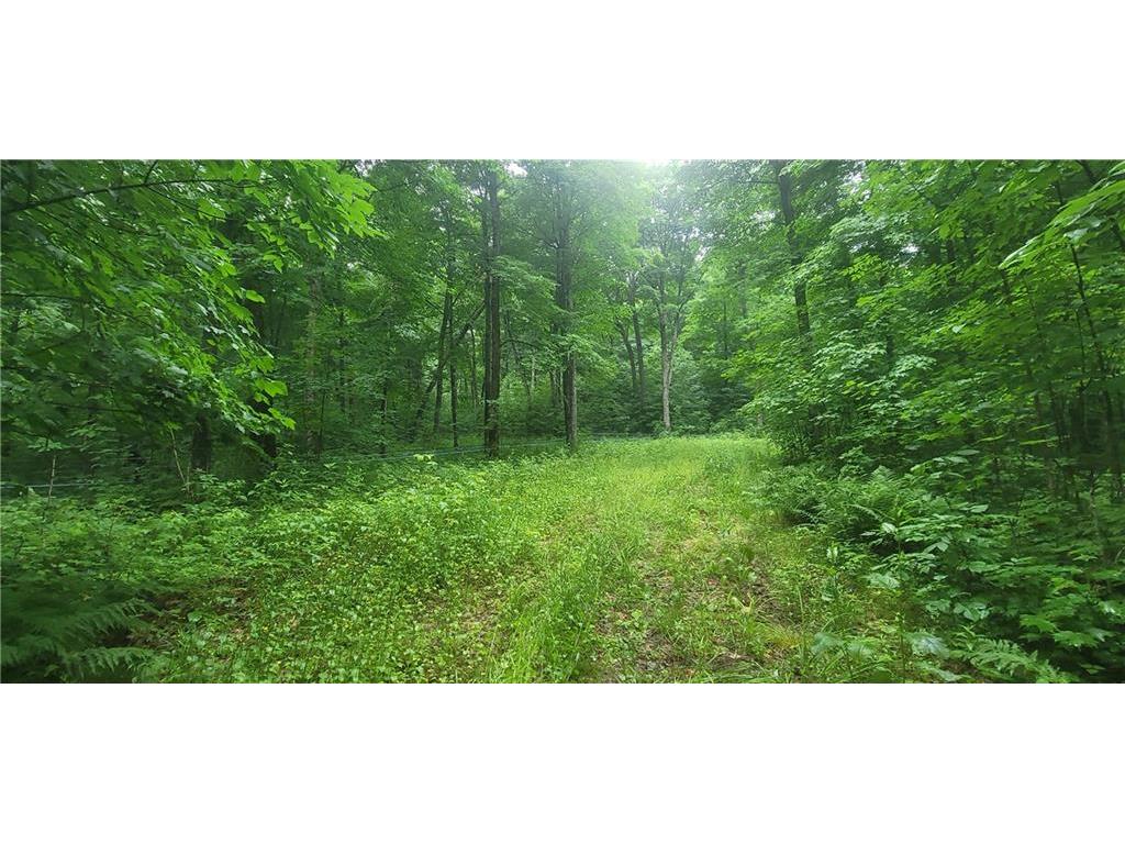 88355 County Hwy F Butternut WI 54514 1574598 image1
