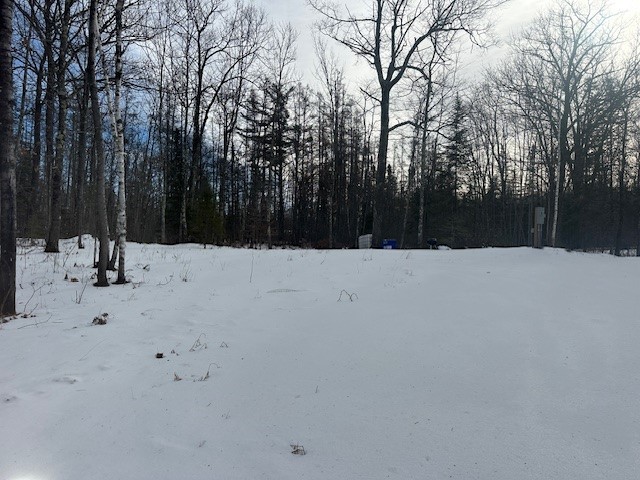 8878E Tom Green Road Solon Springs WI 54873 1588471 image1