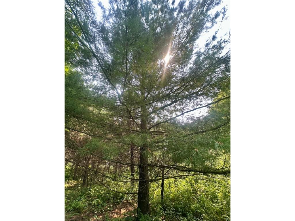 890 207th Street Dresser WI 54009 - Lotus Lake 1594282 image10