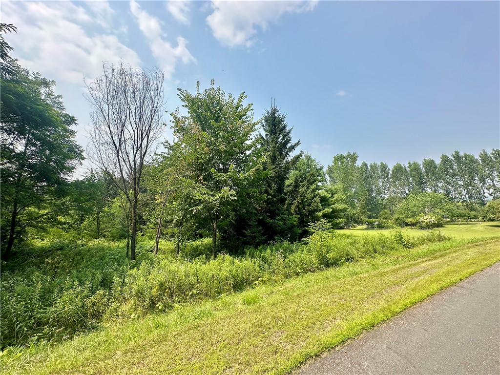 890 207th Street Dresser WI 54009 - Lotus Lake 1594282 image12