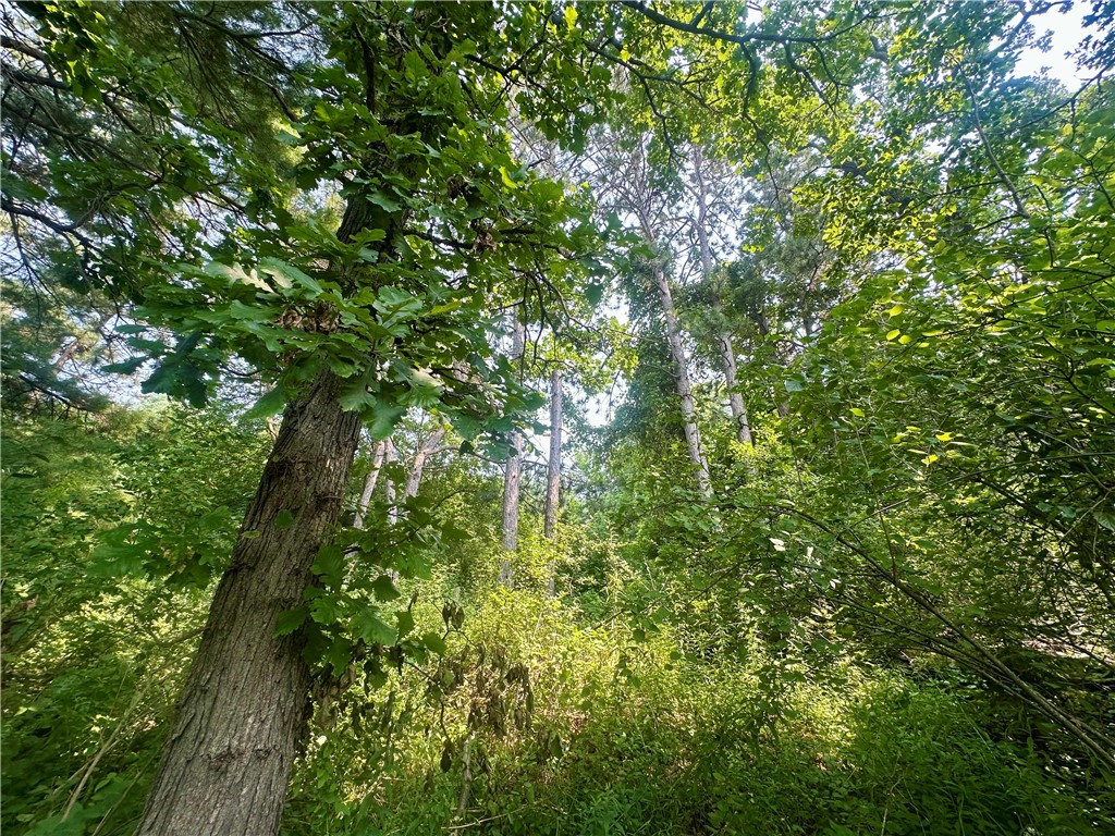 890 207th Street Dresser WI 54009 - Lotus Lake 1594282 image13