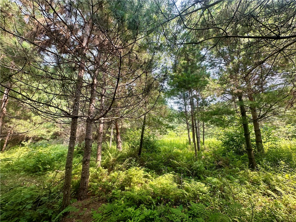 890 207th Street Dresser WI 54009 - Lotus Lake 1594282 image14