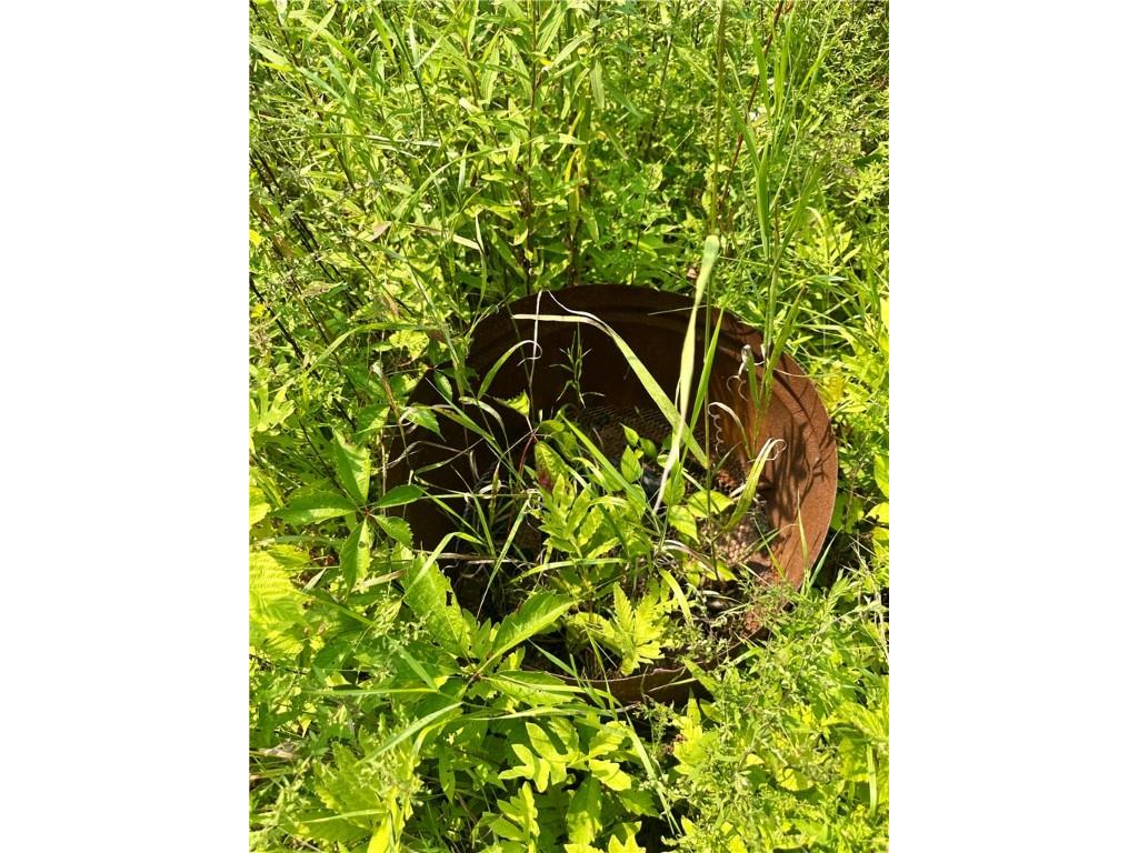 890 207th Street Dresser WI 54009 - Lotus Lake 1594282 image18