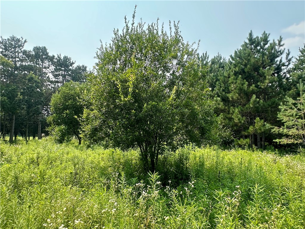 890 207th Street Dresser WI 54009 - Lotus Lake 1594282 image19