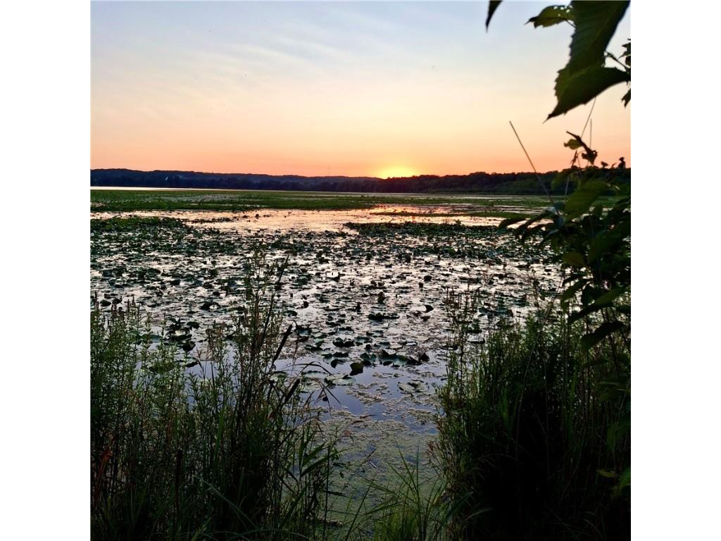 890 207th Street Dresser WI 54009 - Lotus Lake 1594282 image2