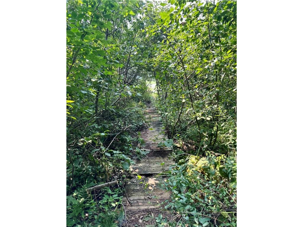 890 207th Street Dresser WI 54009 - Lotus Lake 1594282 image20