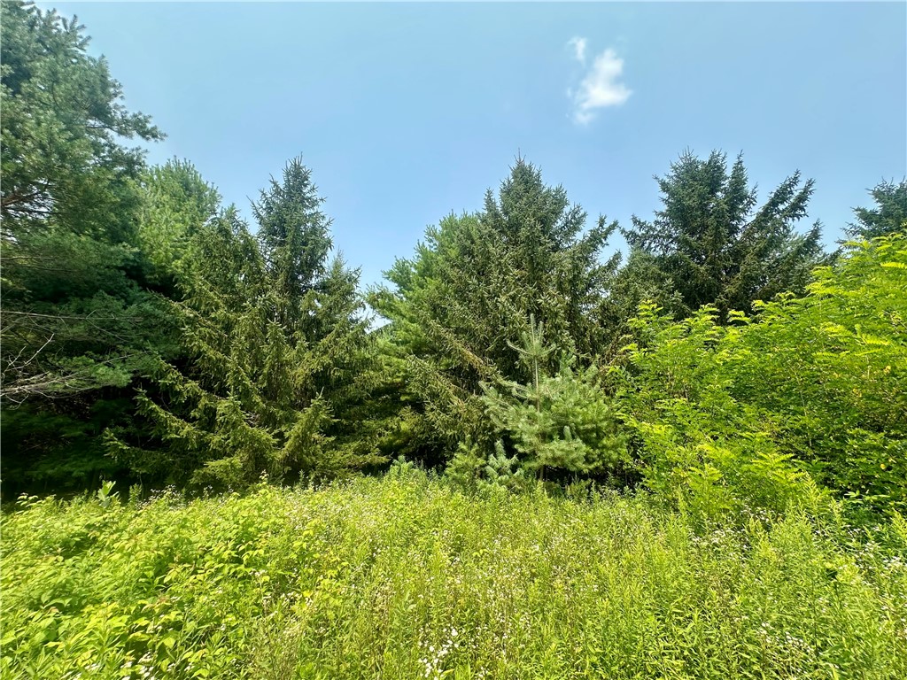 890 207th Street Dresser WI 54009 - Lotus Lake 1594282 image21