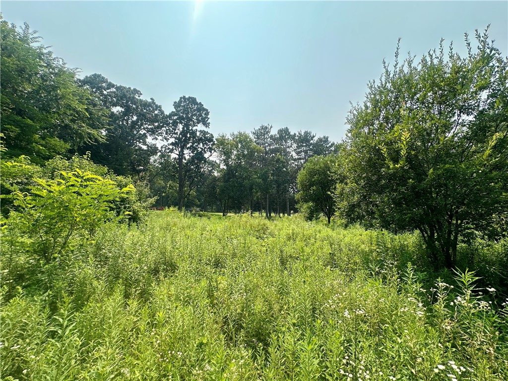 890 207th Street Dresser WI 54009 - Lotus Lake 1594282 image22