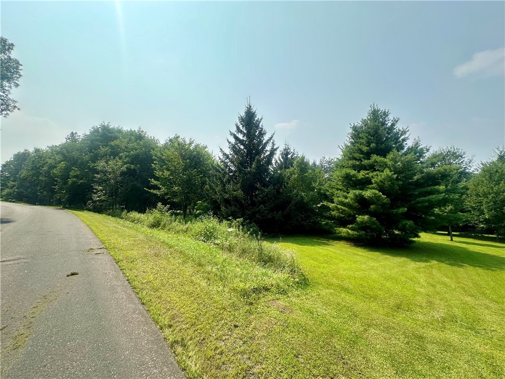 890 207th Street Dresser WI 54009 - Lotus Lake 1594282 image4