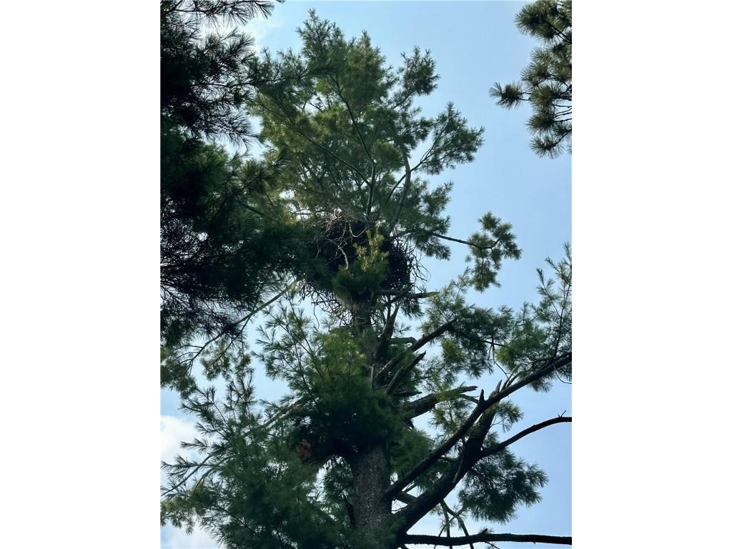 890 207th Street Dresser WI 54009 - Lotus Lake 1594282 image5