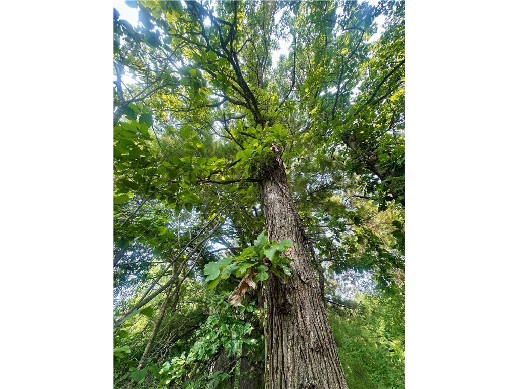 890 207th Street Dresser WI 54009 - Lotus Lake 1594282 image6