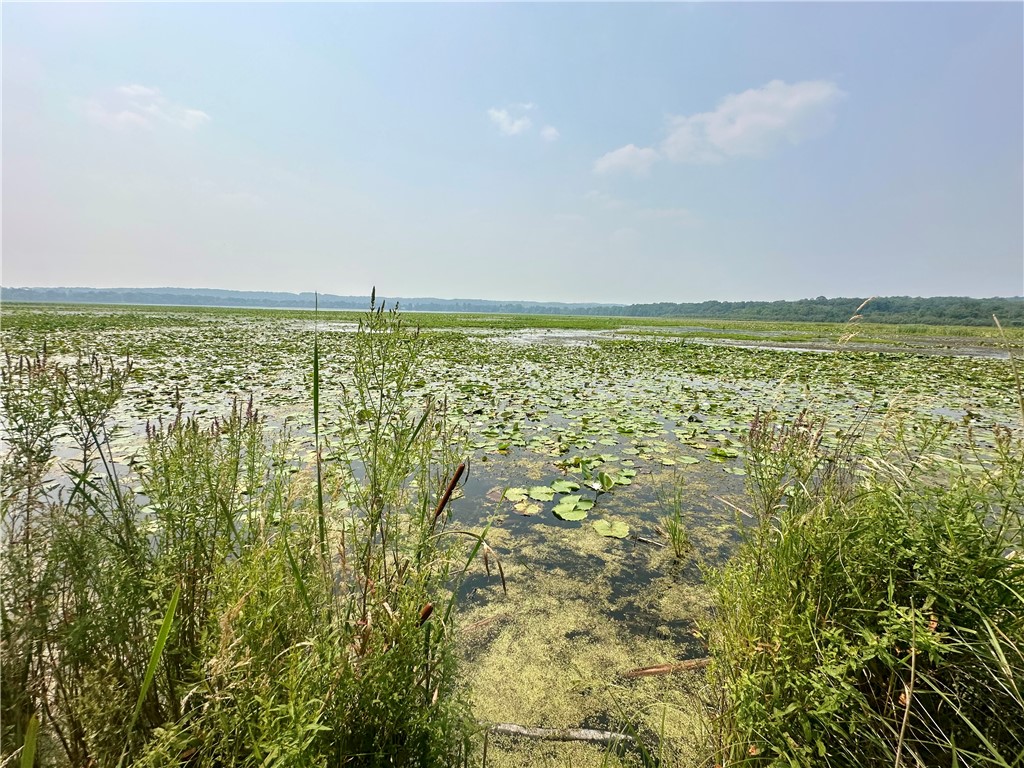 890 207th Street Dresser WI 54009 - Lotus Lake 1594282 image7