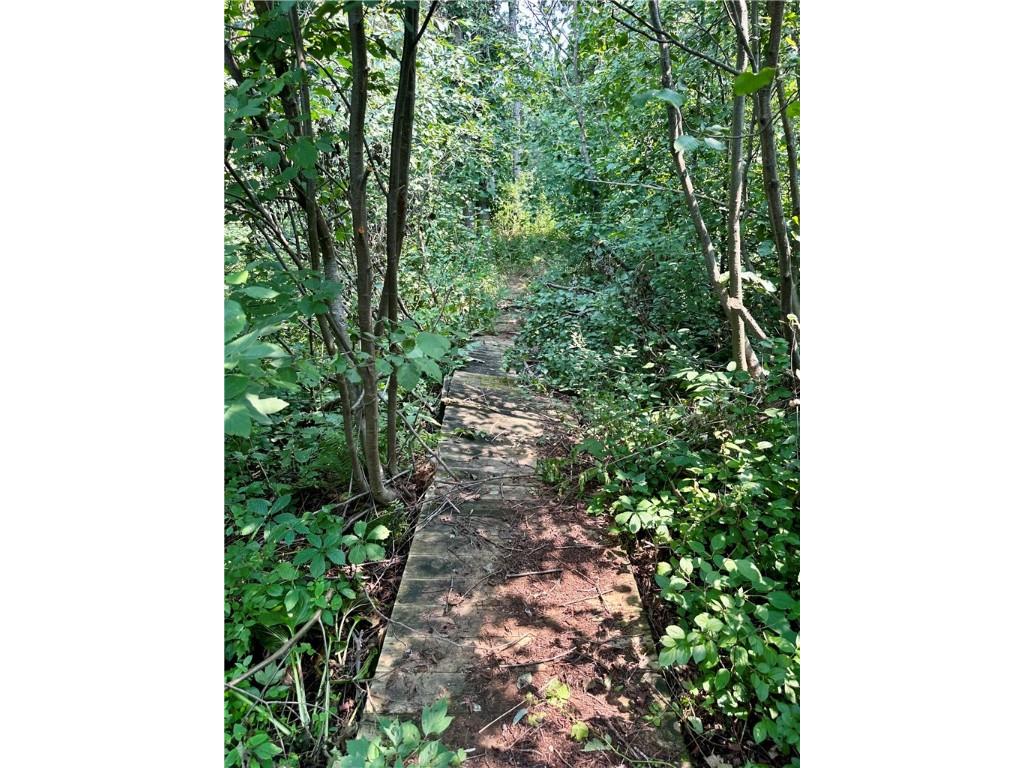 890 207th Street Dresser WI 54009 - Lotus Lake 1594282 image8