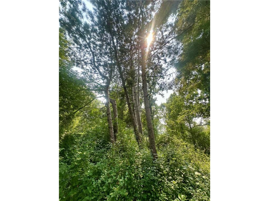 890 207th Street Dresser WI 54009 - Lotus Lake 1594282 image9