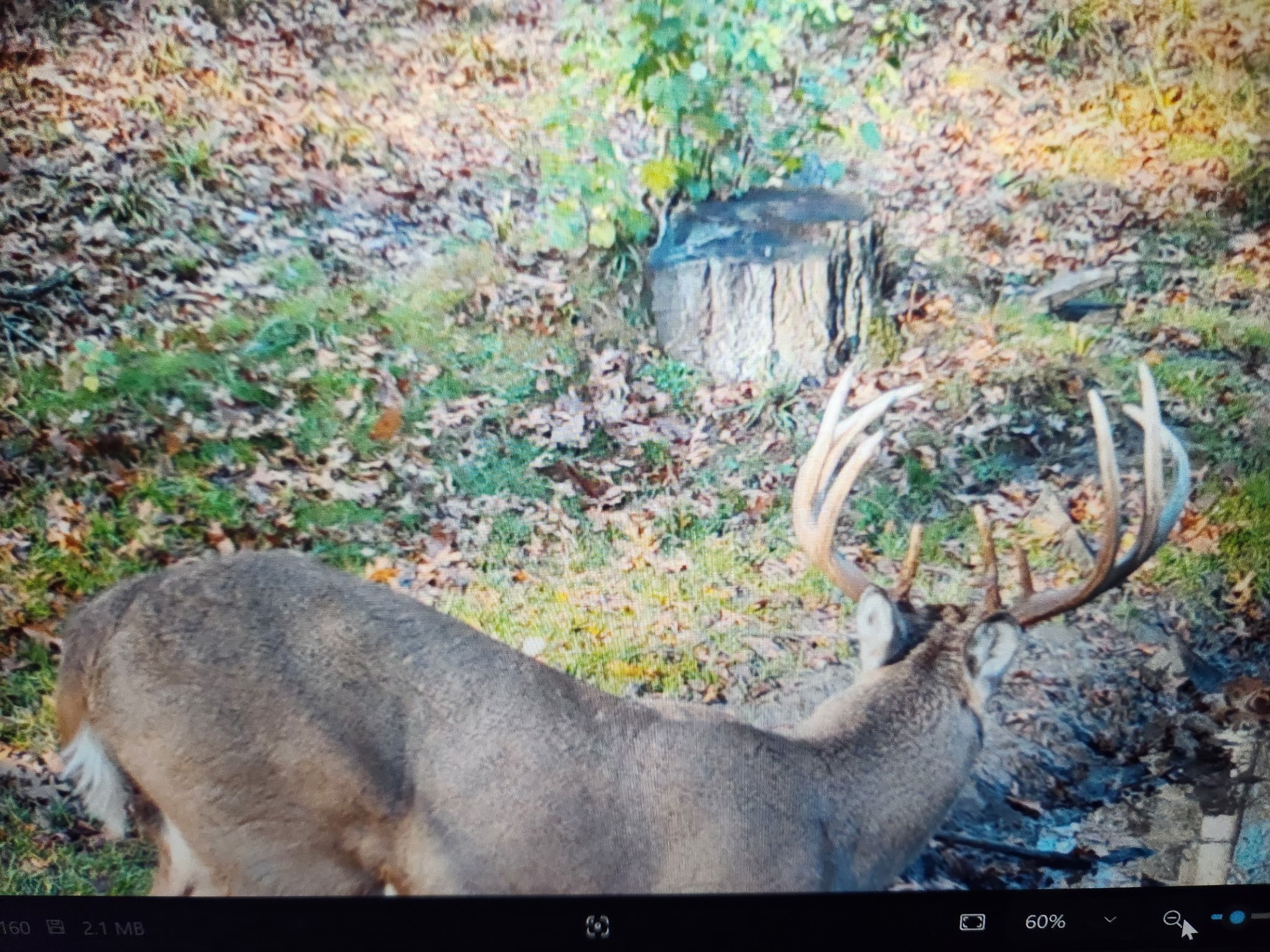 890 S Independence Road Independence WI 54747 1598918 image1