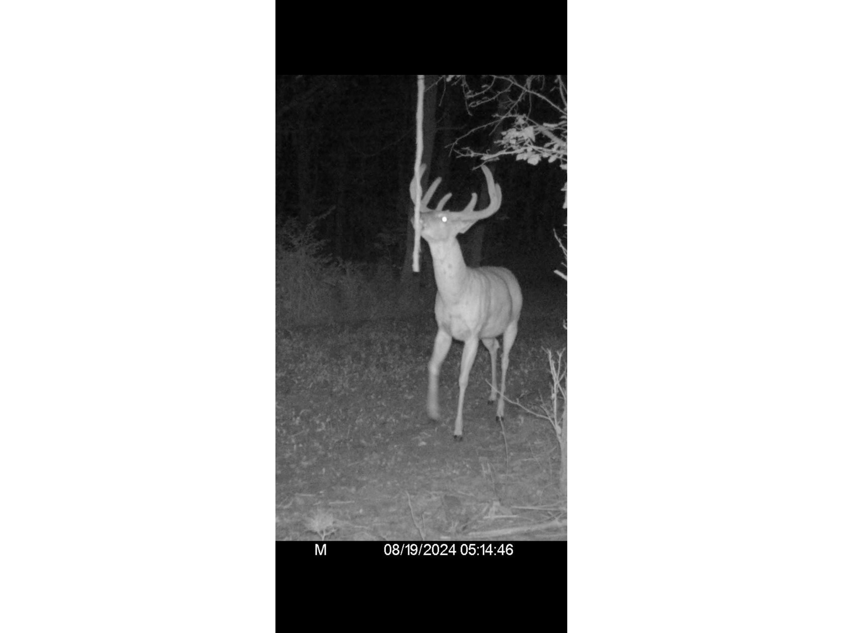 890 S Independence Road Independence WI 54747 1598918 image10