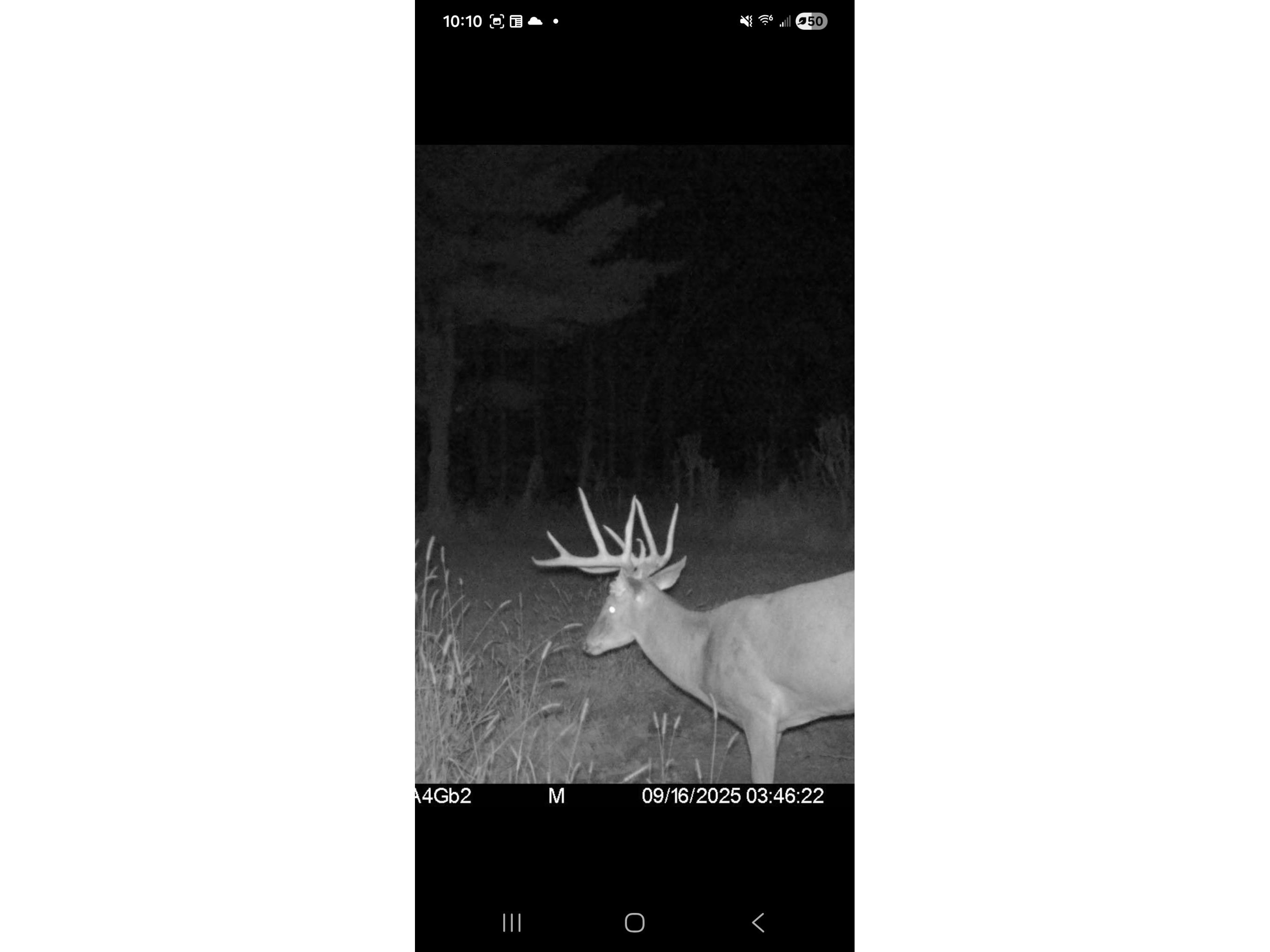 890 S Independence Road Independence WI 54747 1598918 image11