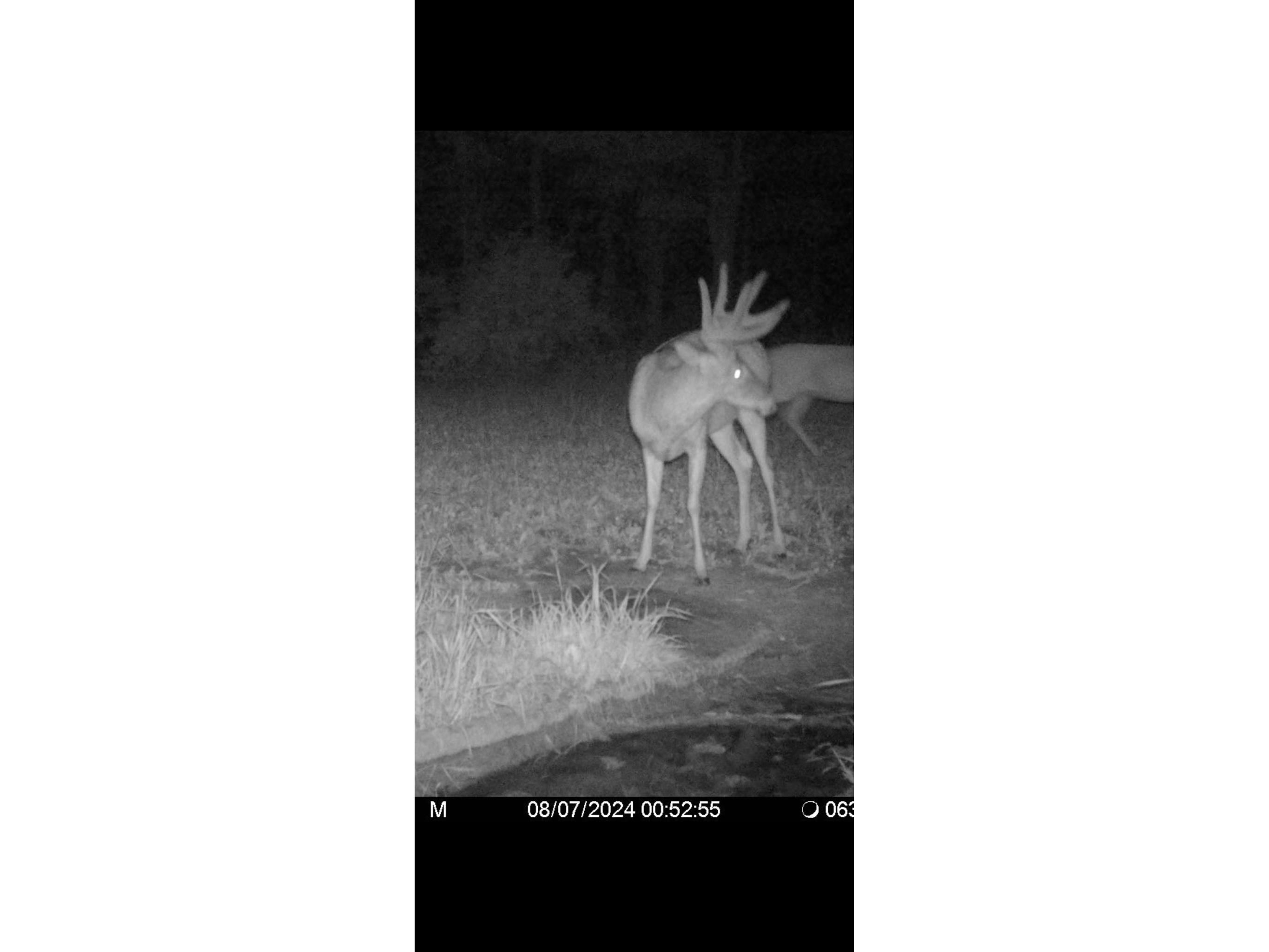 890 S Independence Road Independence WI 54747 1598918 image13