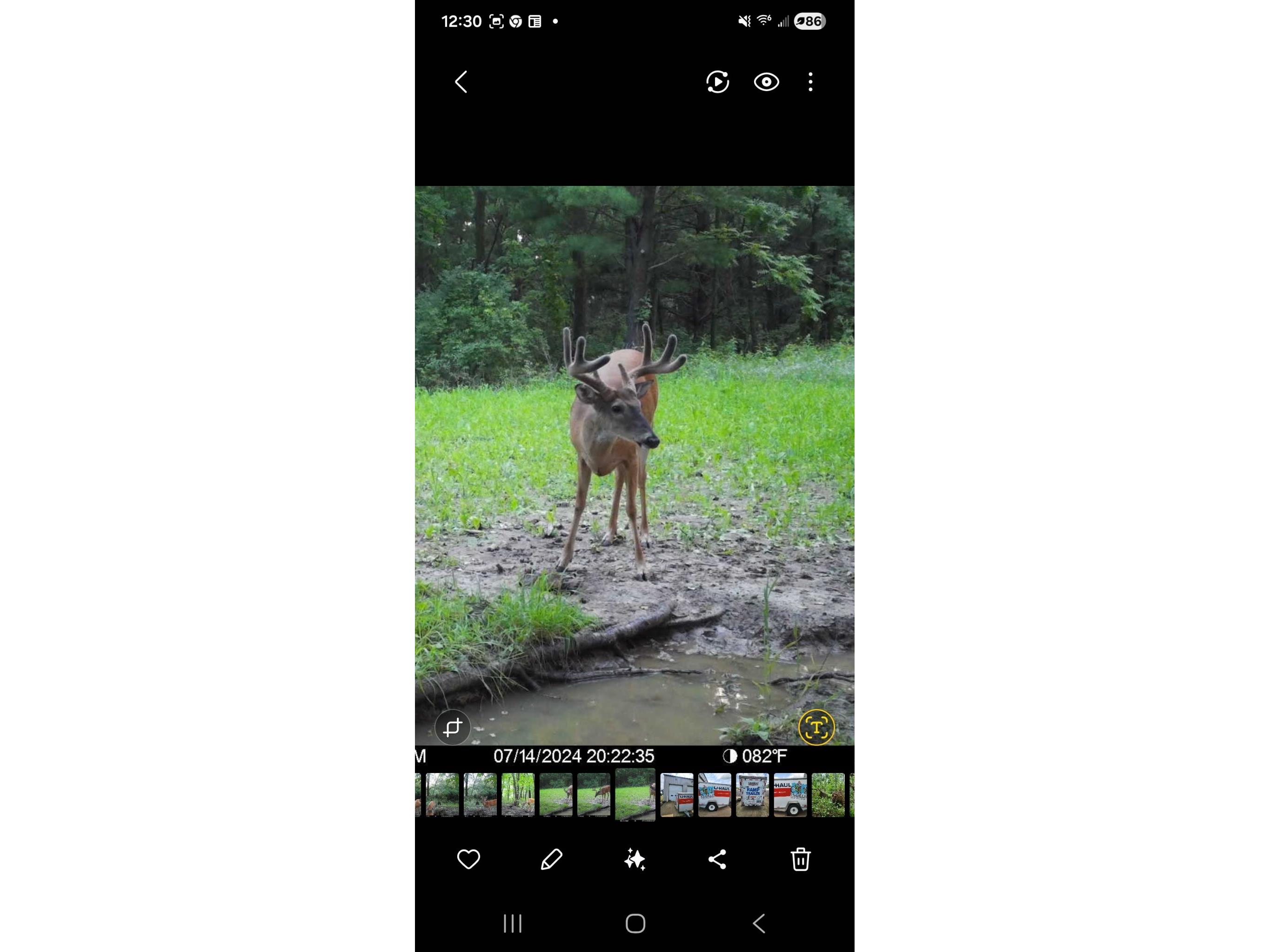 890 S Independence Road Independence WI 54747 1598918 image14