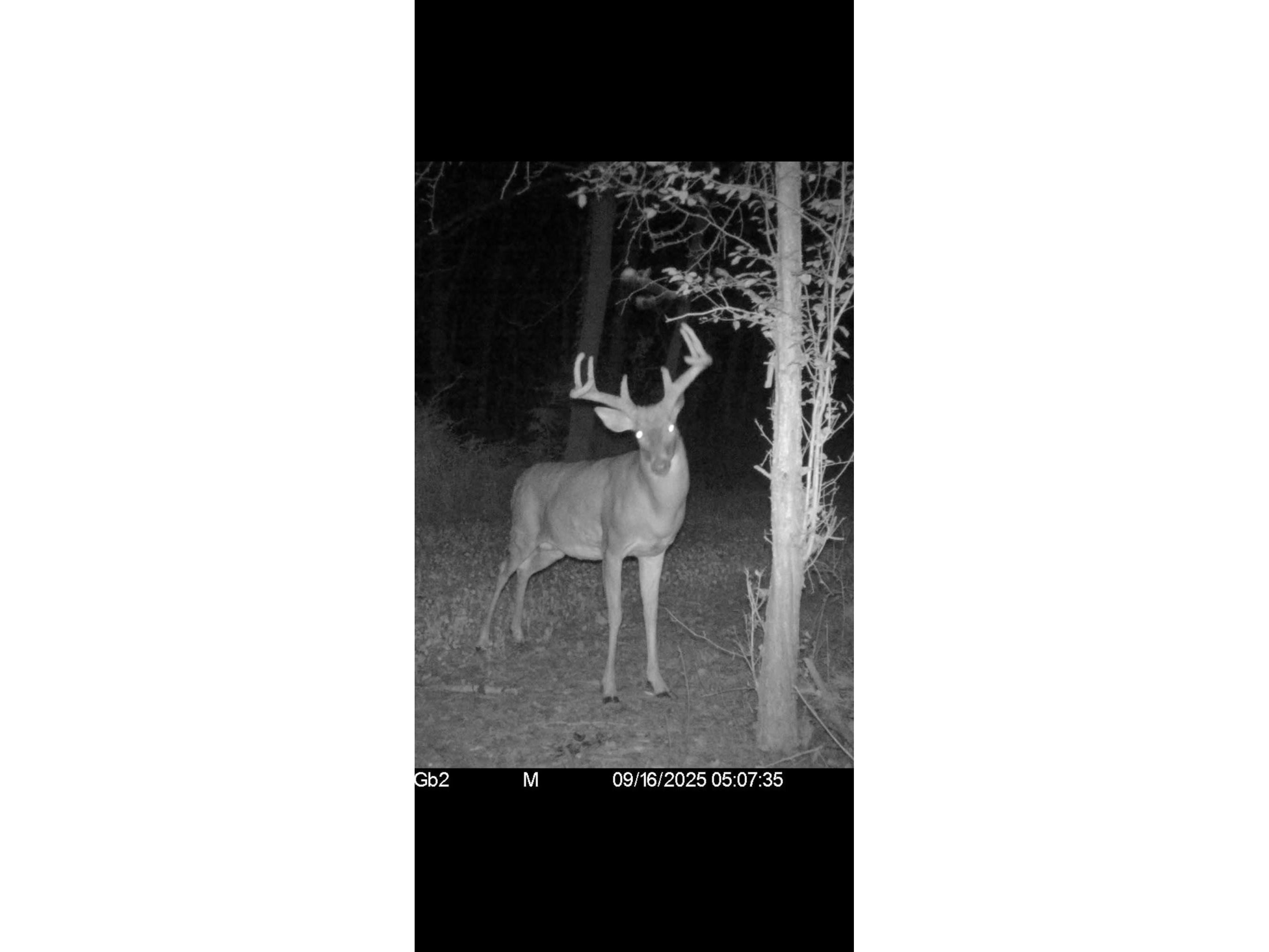 890 S Independence Road Independence WI 54747 1598918 image16