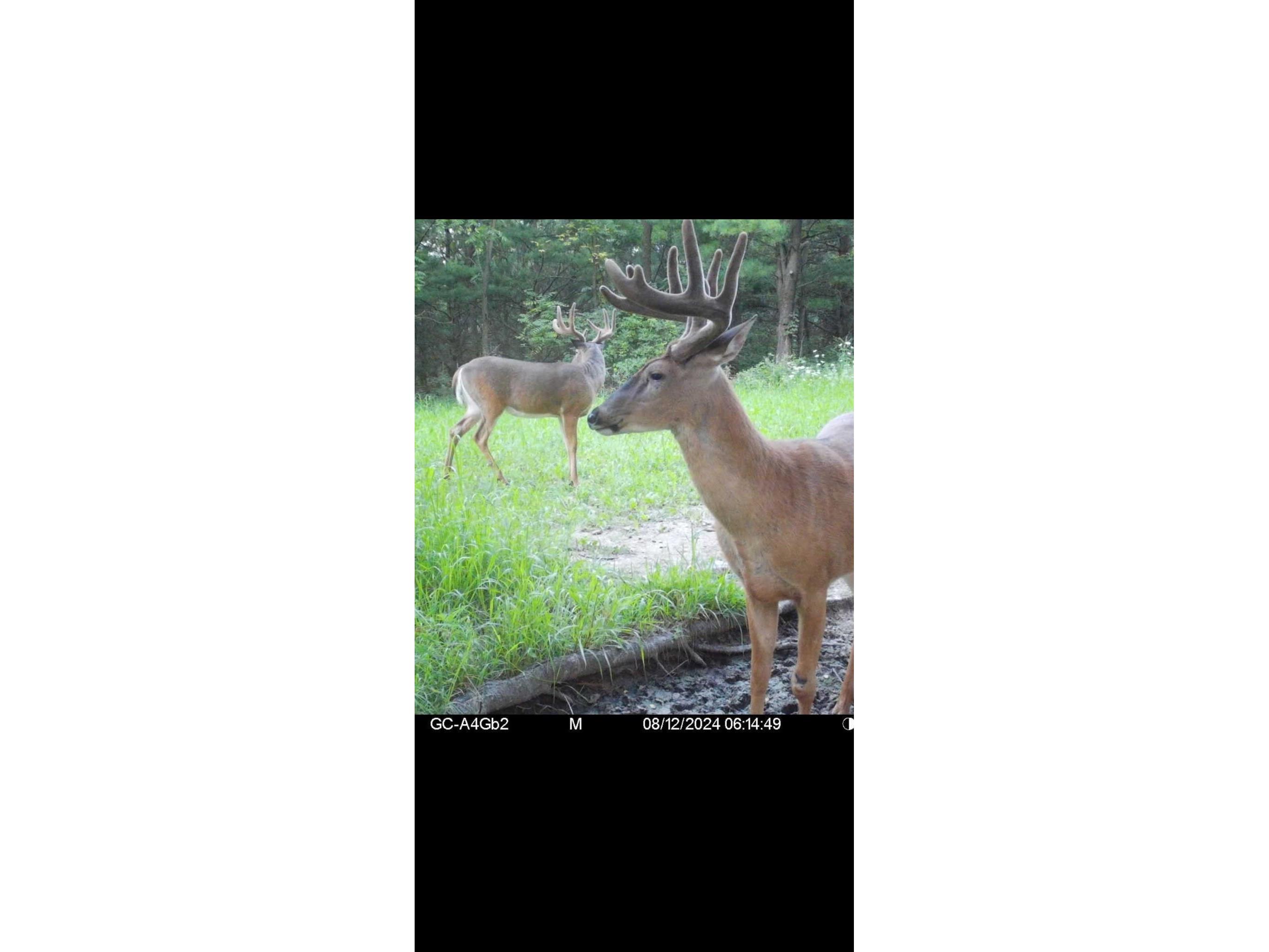 890 S Independence Road Independence WI 54747 1598918 image2