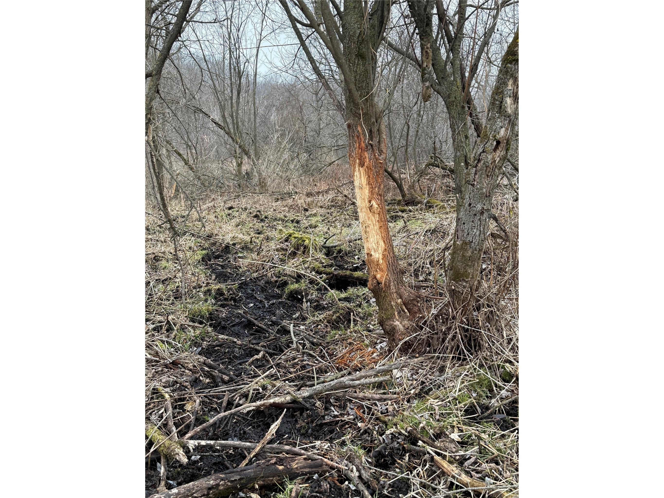 890 S Independence Road Independence WI 54747 1598918 image22