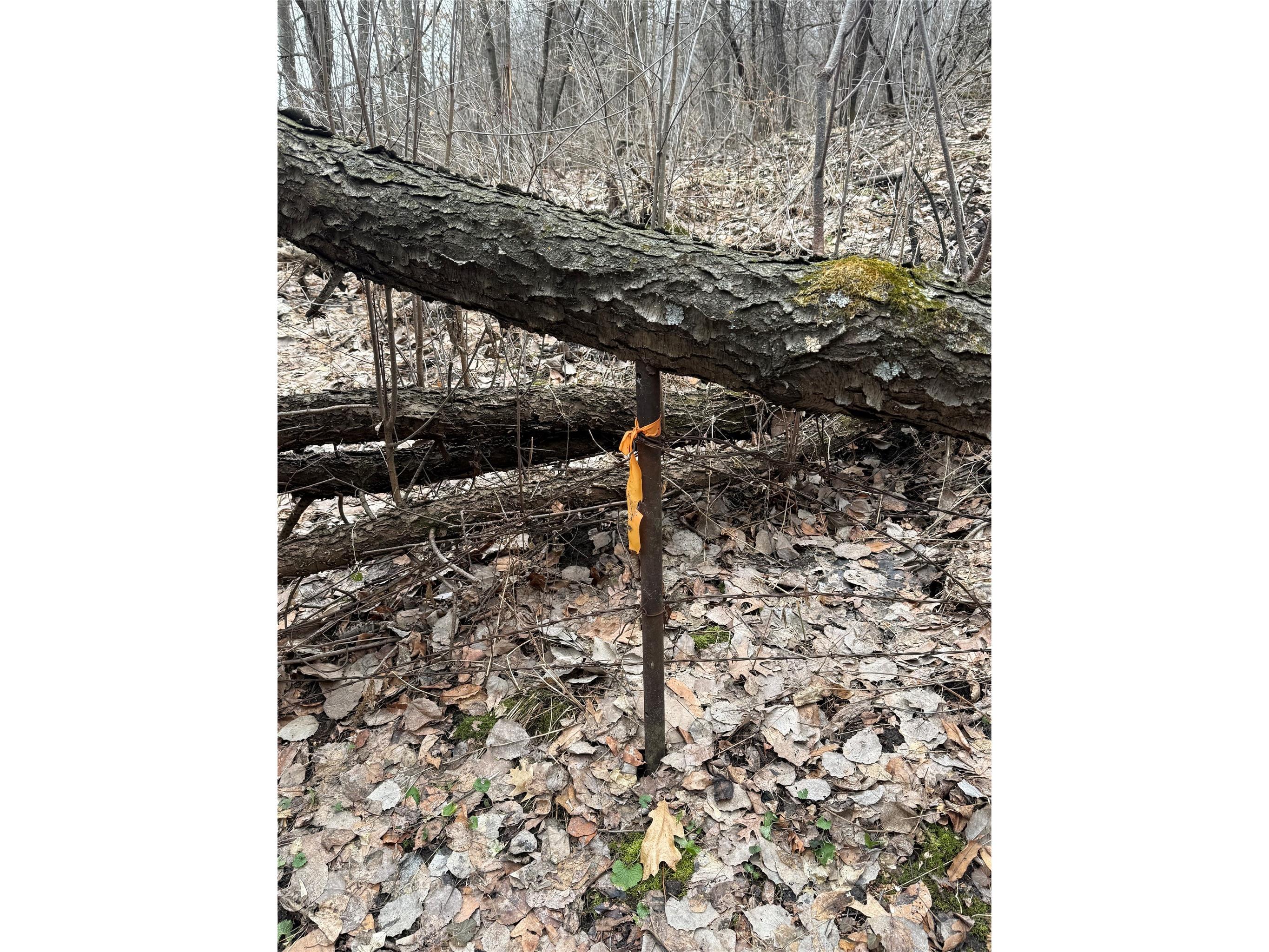 890 S Independence Road Independence WI 54747 1598918 image23