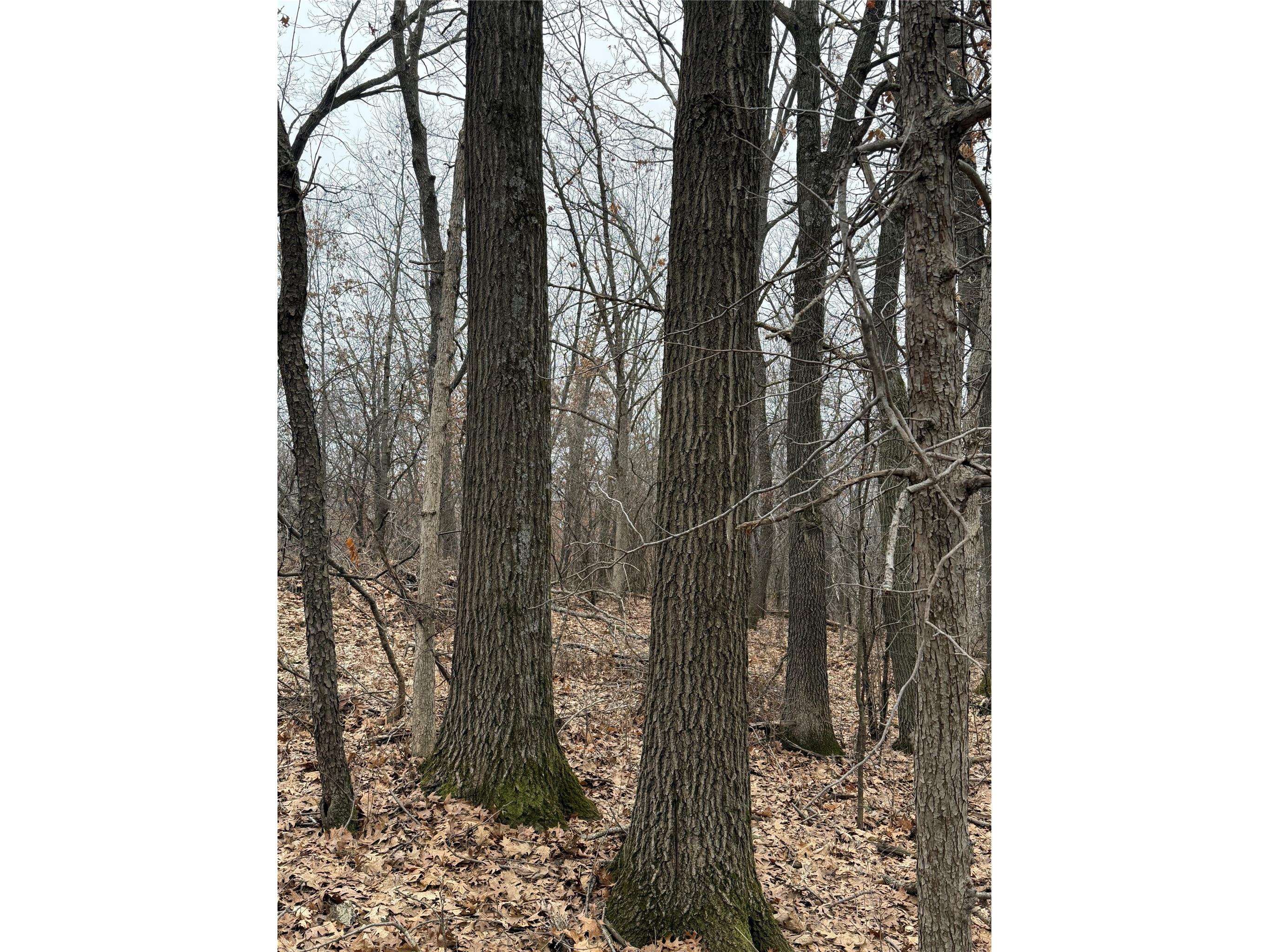 890 S Independence Road Independence WI 54747 1598918 image25