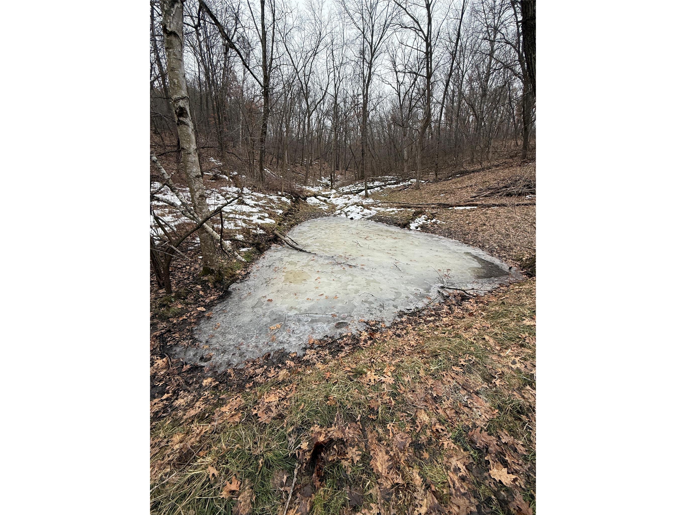 890 S Independence Road Independence WI 54747 1598918 image26