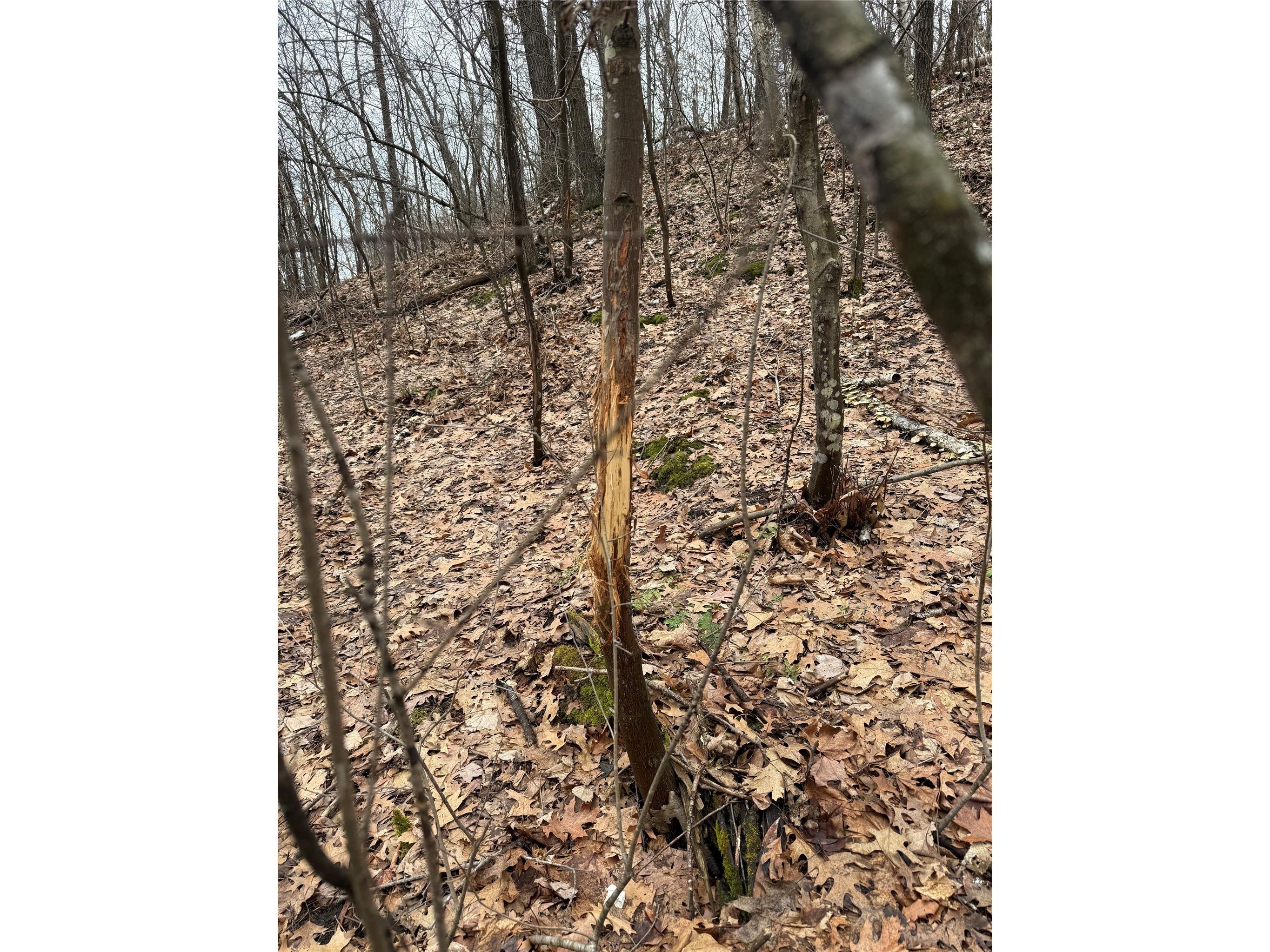 890 S Independence Road Independence WI 54747 1598918 image27