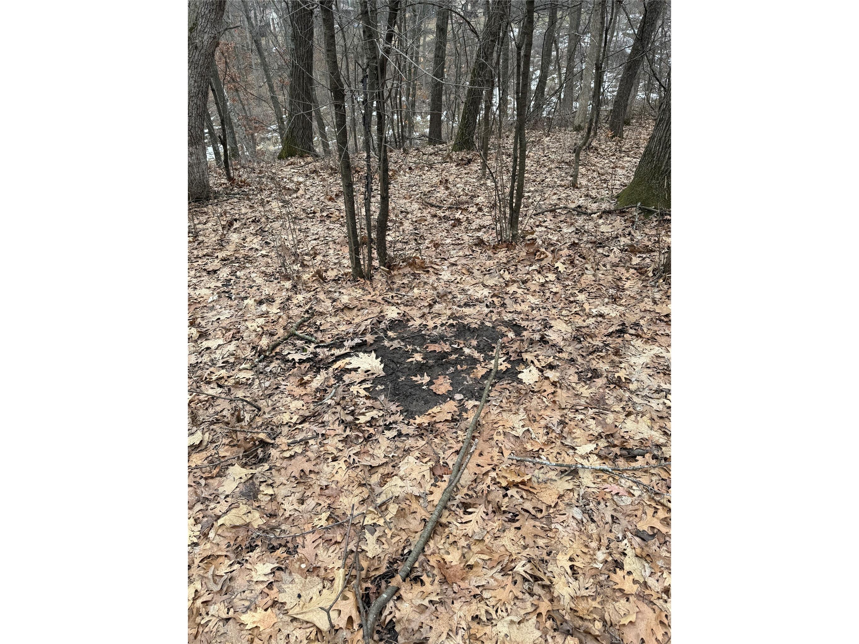 890 S Independence Road Independence WI 54747 1598918 image28