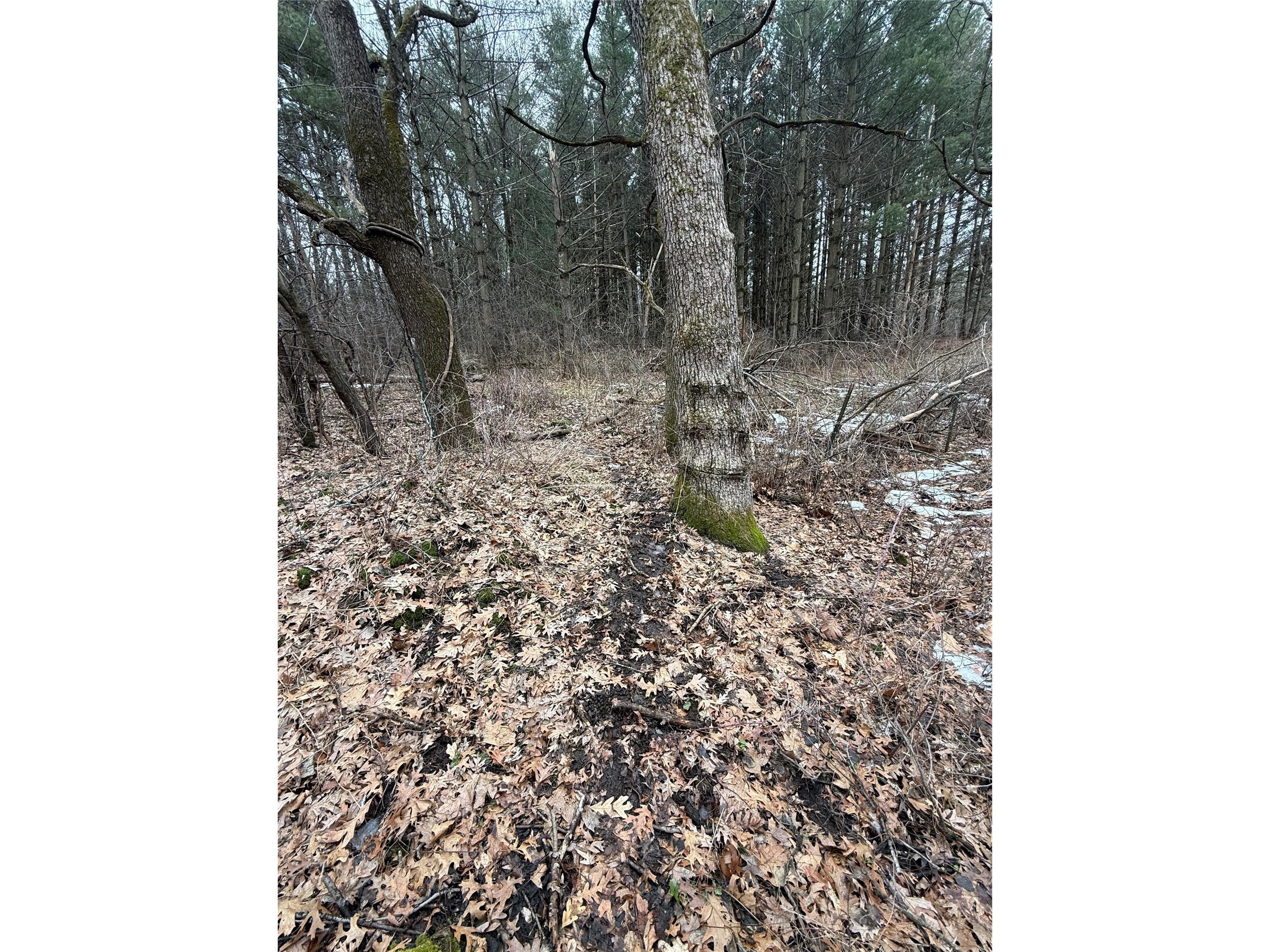 890 S Independence Road Independence WI 54747 1598918 image29