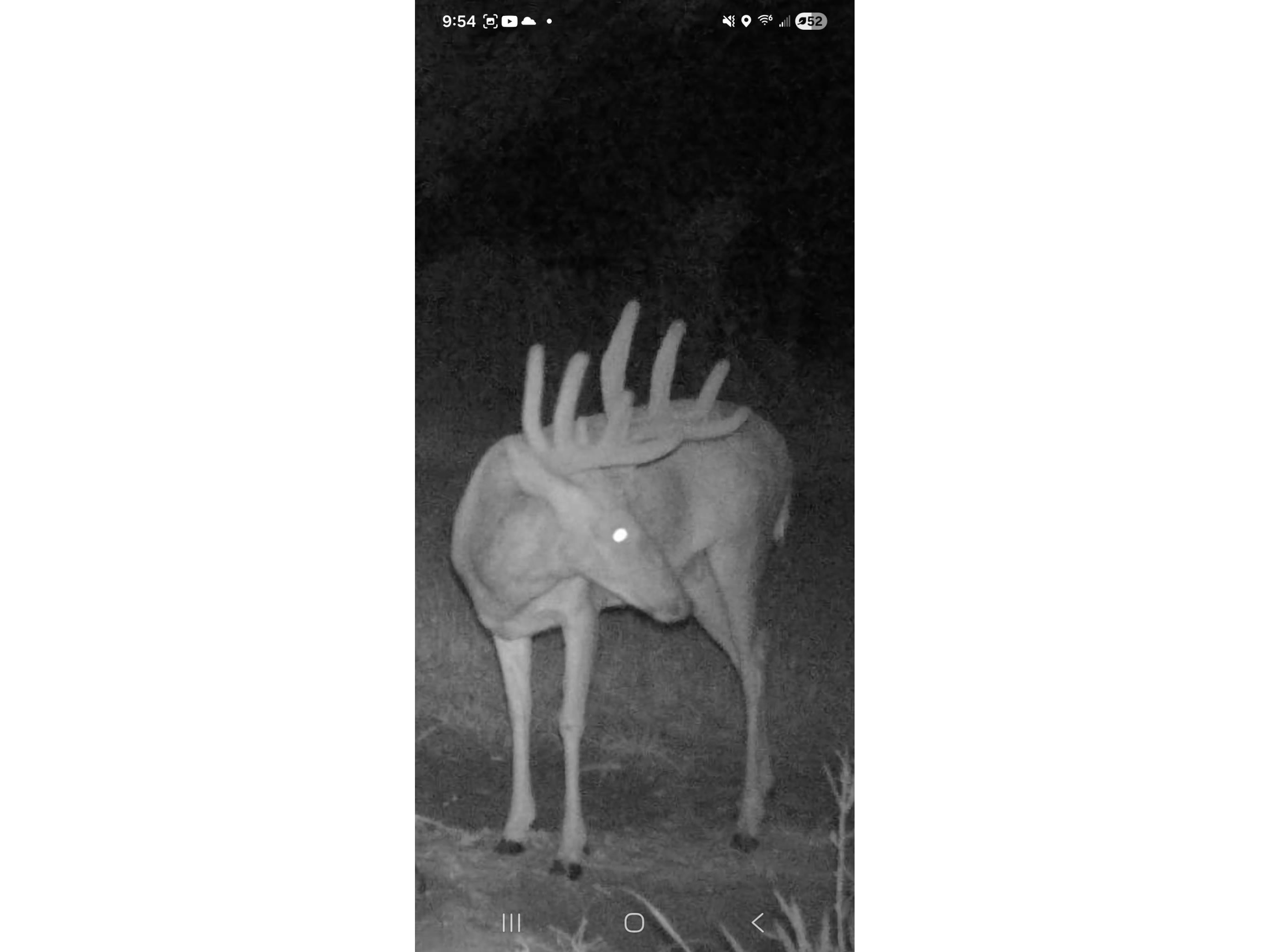 890 S Independence Road Independence WI 54747 1598918 image3