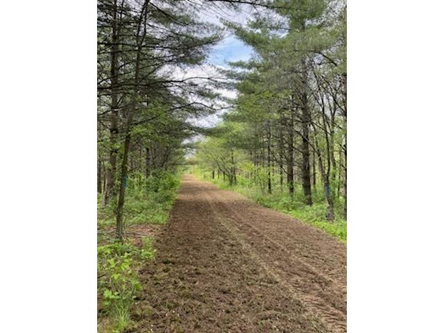 890 S Independence Road Independence WI 54747 1598918 image31