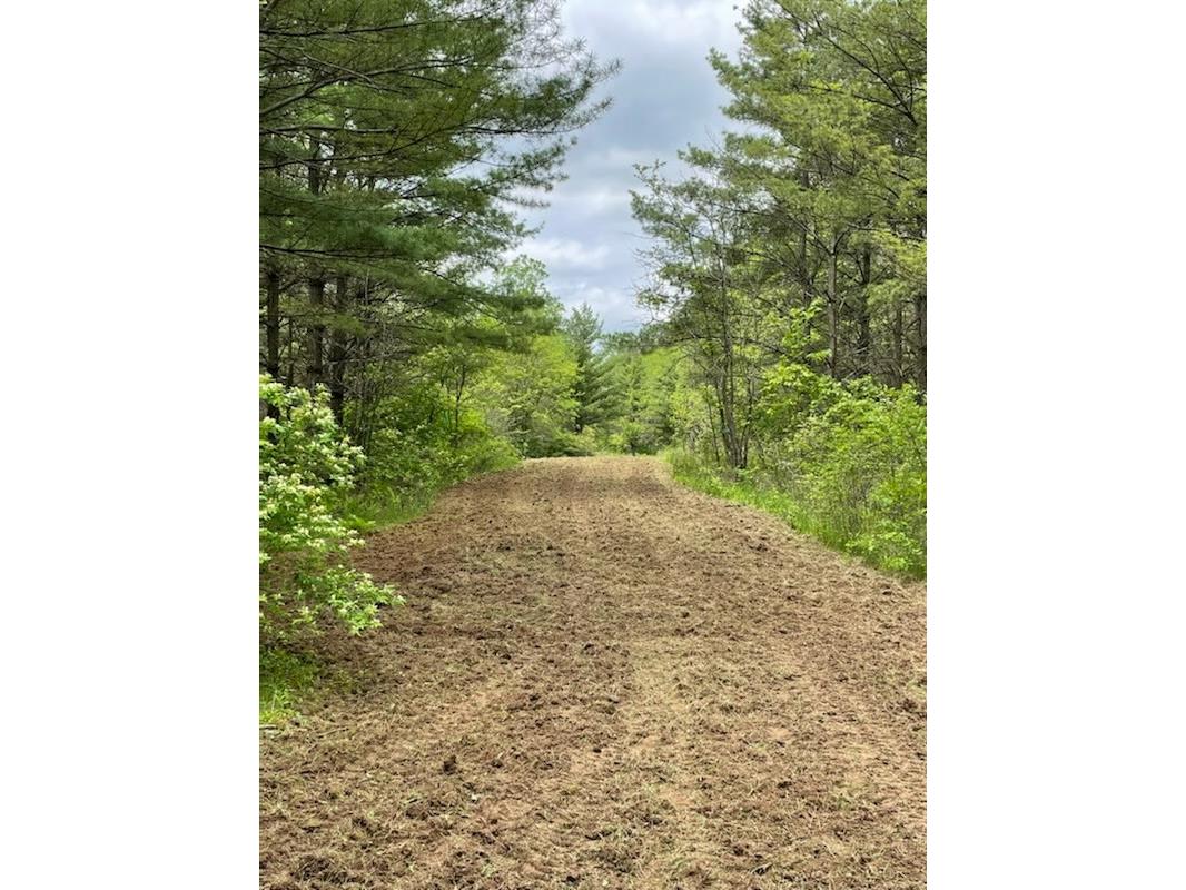 890 S Independence Road Independence WI 54747 1598918 image32