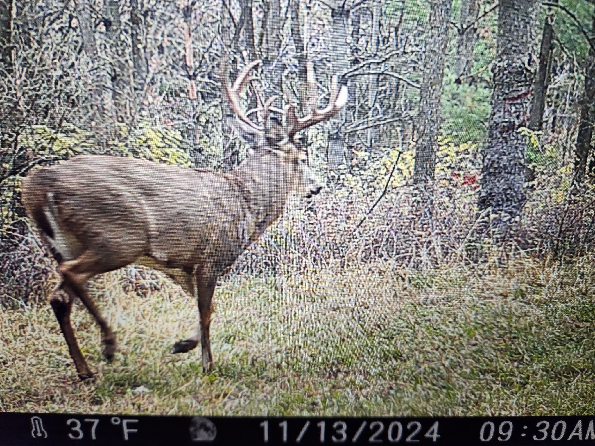 890 S Independence Road Independence WI 54747 1598918 image4