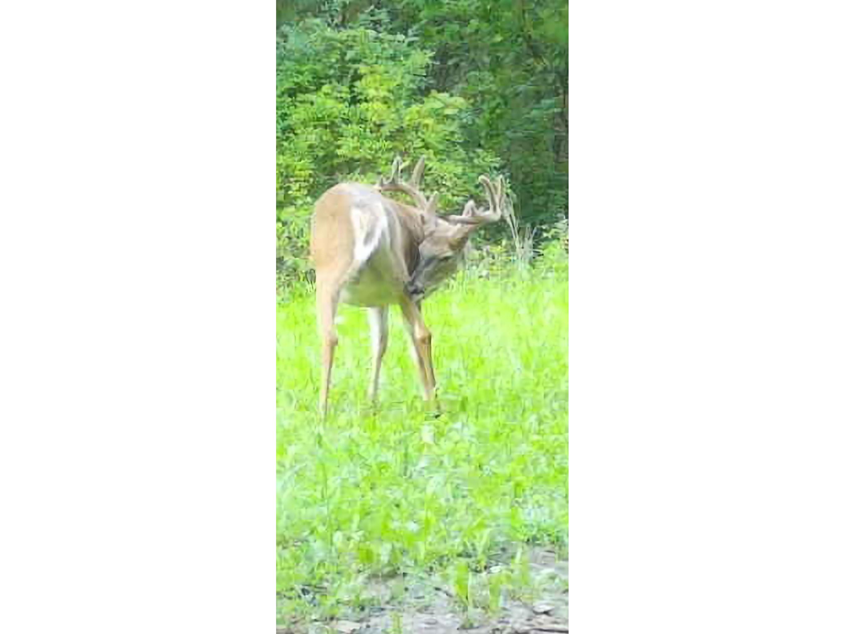 890 S Independence Road Independence WI 54747 1598918 image6