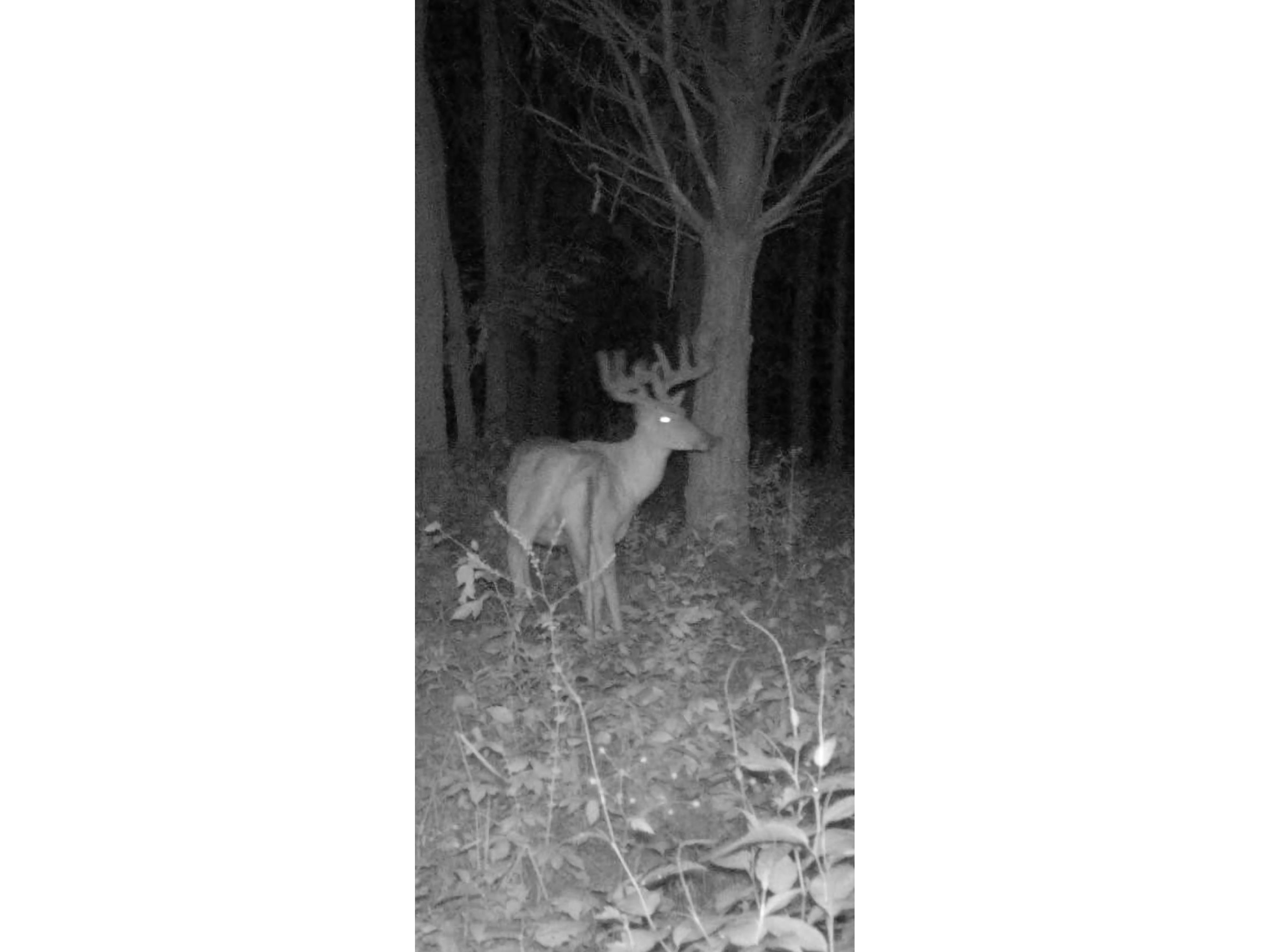 890 S Independence Road Independence WI 54747 1598918 image8