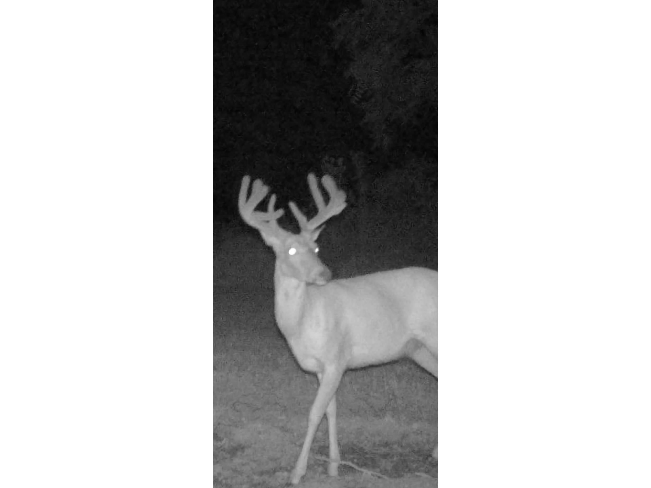 890 S Independence Road Independence WI 54747 1598918 image9