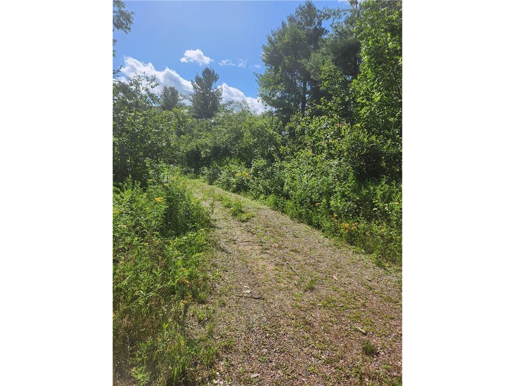 9.06 acres County Road F Birchwood WI 54817 1575624 image1