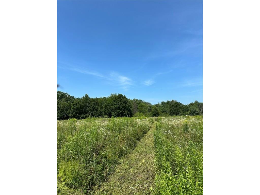 9.19 Acres 105th Avenue Jim Falls WI 54727 1593589 image1