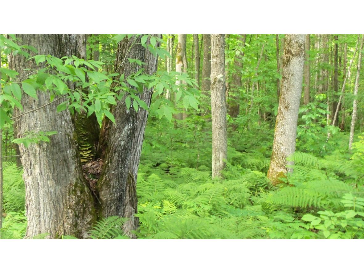 90 ACRES Kornstead Road Mellen WI 54546 1584791 image14