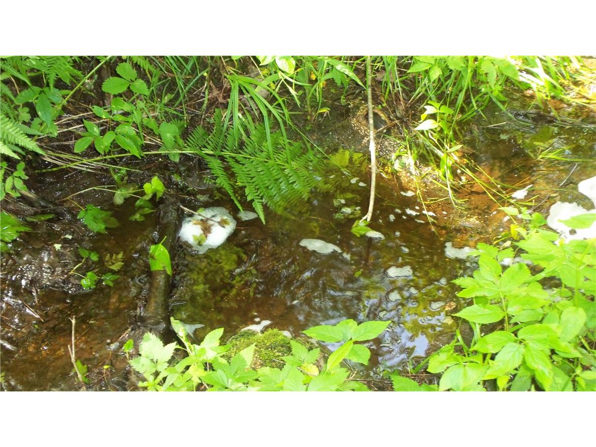 90 ACRES Kornstead Road Mellen WI 54546 1584791 image15