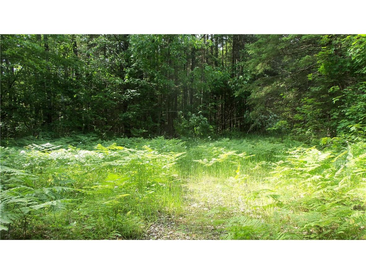 90 ACRES Kornstead Road Mellen WI 54546 1584791 image16