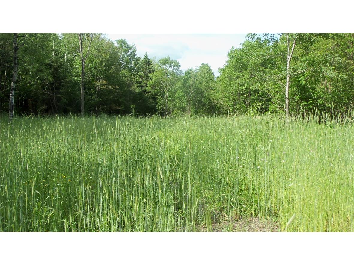 90 ACRES Kornstead Road Mellen WI 54546 1584791 image18