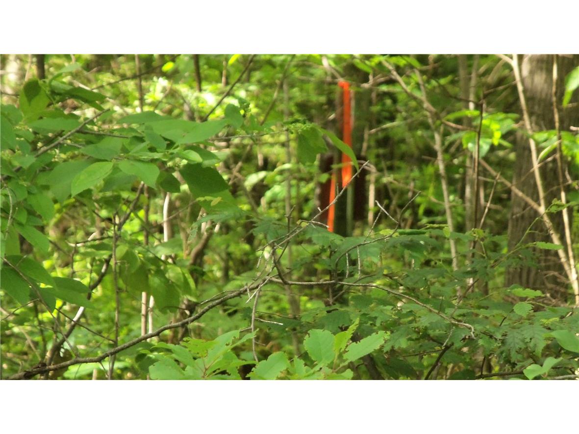 90 ACRES Kornstead Road Mellen WI 54546 1584791 image20